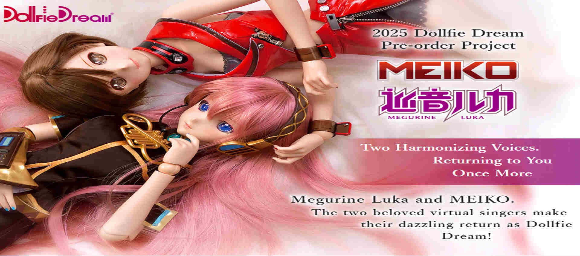 Main Slider